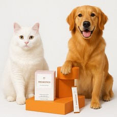 韓國朝貢 益生菌60g (2g x 30包) 犬貓適用，維持腸道健康，提升免疫力，改善皮膚問題, 1個