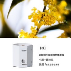DIU 新中式桂花香薰蠟燭石膏室內家用持久小衆高級禮物精油香氛, 桂 130g:如圖, 1個, 1L