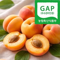 GAP 영천 노지 살구, 1개, 2kg(40-52입)