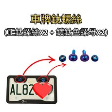 豆米三萬 TOMIZAWA 車牌螺絲 正鈦 螺絲 baut titanium T30, 1個