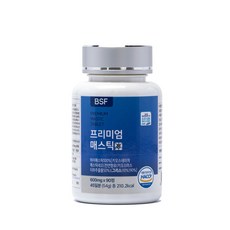 BSF 프리미엄 매스틱정 HACCP 인증 600mg x 90정, 54g, 1개