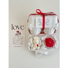 앤오프 카네이션 미니토끼+티라이트세트 어버이날 스승의날 선물 무료, 그린그라스, 핑크