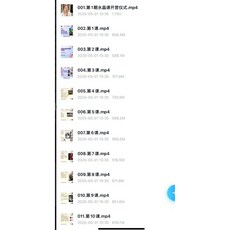 陳安逸 水晶寶石課程 學習素材 17個視頻