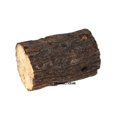 사슴벌레용 천연 산란목, 1개, 중(갈색)