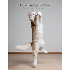 (영문도서) Cat-ching Up on Tasks: Purr-suade Yourself to Stay Organized Paperback, Lulu.com, English, 9781312685543