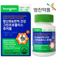 영플랜 영진약품 항산화 면역 건강 그린프로폴리스 츄어블, 1개, 60정
