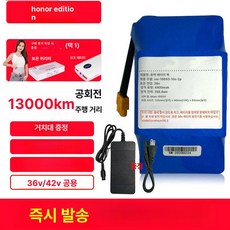리튬 전동 수명 충전기 36v 교체 호버보드 배터리, 기본 모델명/품번, 1개, 충전기 포함 글로리 13000km