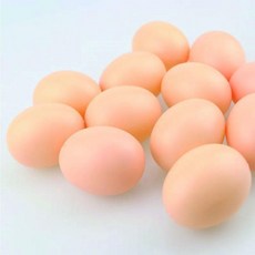 플라스틱인공계란 모형계란 장난감 부활절 계란만들기, 인공계란BL03940, 인공계란BL03940