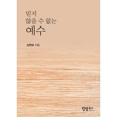 믿지 않을 수 없는 예수, 킹덤북스, 손현보