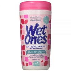 Wet Ones 항균 핸드 물티슈 40개입 12세트, 12개