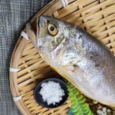 반건조 부세조기 굴비 자반용 제수용 반찬용 생일상차림 부드러운 조기 3마리구성 제수용 1마리구성, 1세트, 27-29cm (3마리)