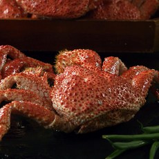한농식 자연산 스노우 레드크랩 킹크랩 3마리 아이큐샵, 1개, 1.2kg