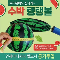 SFA디노 탱탱볼 [수박 ] 칼라 무지 삼색 돼지 물놀이 공 용품 비치볼 에어공, 손펌프, 1개