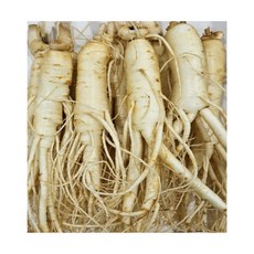 6년근 최상품 풍기인삼 황수삼 200g ~ 800g 세척 인삼 산지직송 신선배송 당일배송, 1세트