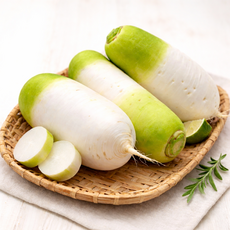 [팜팜]제주도 월동무 세척무, 1박스, 10kg(6-10수)