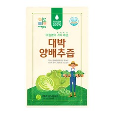 HACCP 대박 양배추즙 50포 100ml