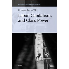 (영문도서)Labor Capitalism and Class Power Hardcover, Brill, English, 9789004757233 Brill, English, 9789004757233