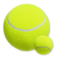 寵物網球, 黃色, 1個