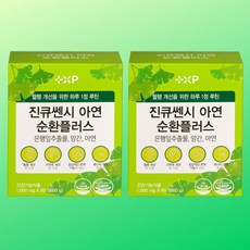 징코페놀 은행잎추출물 징코빌로바 플러스, 2개, 60회분