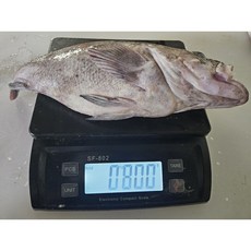 국내산 전남완도 반건조 우럭 중형(300g).특대(1.1kg) 우럭 마른생선 우럭, 1개, 중형(300g)