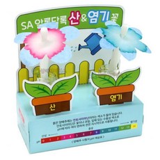 양배추 시험지 산염지 플라워 만들기 1인용 과학상자 놀이키트 방과후수업 과학교구, 1개
