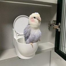 鸚鵡定點排便站架 馬桶 食盒 可拆卸衝洗, 1個, 懸掛馬桶 塑料內膽 ,懸掛鸚鵡馬桶 內膽可拆卸