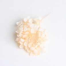 화연양화 프리저브드플라워 수국 1g 30색, 08 샴페인