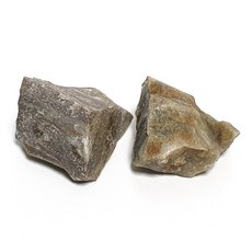 천연원석 Fossil 화석 Petrified Wood 나무화석 51g1 +보증서