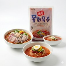 물회육수 400g x 10팩 현진식품 제주 물회 양념 소스