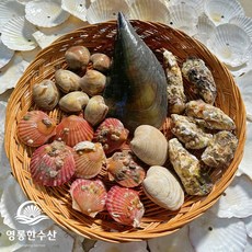 영롱한수산 제철 모듬 조개 실속세트 (5가지 종류) 2kg, 1개
