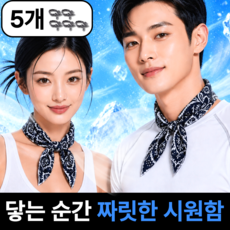 펠코스 쿨 스카프 아이스 쿨링, 5개, 블랙 5개, 블랙