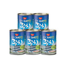 오늘출발 동원 자연산 꽁치, 300g, 5개