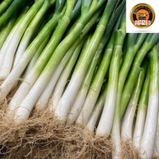 국내산 손질 대파 1단, 2kg, 1개