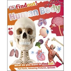 DKfindout! Human Body, Dorling Kindersley