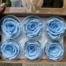 超大朵永生玫瑰 厄瓜多Rose Amor 大地農園 花面7-8公分 日本Florever 永生玫瑰 玫瑰花