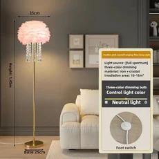 깃털 플로어 램프 북유럽 현대 미니멀리스트 럭셔리 침실 머리맡 조명 장식 LED 표준, 05 D, 01 Tri colored light, 03 AU plug