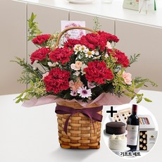 꽃바구니 선물 기념일 GIFT 세트상품 (감사의 카네이션 a-0288) 케이크 빼빼로 샴페인 초콜릿 사탕 전국당일배송 생일 생신 어버이날 선물 카네이션, + 사탕, 고급