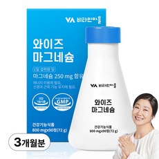 비타민마을 와이즈 마그네슘 72g, 90정, 1개