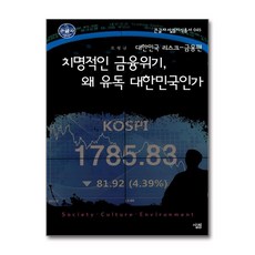 제이북스 큰글자 치명적인 금융위기 왜 유독 대한민국인가, 단품, 단품