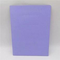 컬러 화일 l홀더 종이 b4파일 파일 포켓 홀더 파일케이스, L. 연보라색