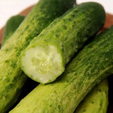 국내산 백다다기 오이 특품 2kg, 없음, 1개