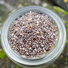CHIA 奇亞籽/附發票/Super food of the Aztecs /興妍誠五穀健康米糧, 200克,耐熱袋, 1個