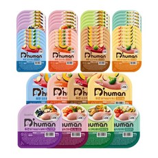 듀먼 강아지화식 100g 50팩 화식 8종 맞춤세트 습식사료 자연식, 종합set 100g 8종