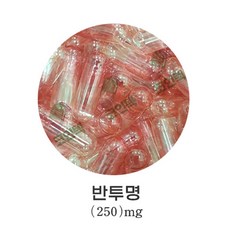 코인텍 공캡슐 250mg 반투명, 500개
