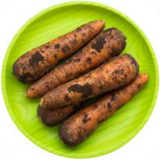 [환불보장] 제주 구좌 당근 2025 흙당근, 1박스, 5kg (상품)