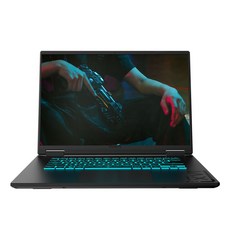 기가바이트 2026 게이밍 A16 라이젠7 라이젠 200 시리즈 지포스 RTX 5070, 블랙, GAMING A16 3WHD, 512GB, 16GB, Free DOS