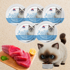 사조 옵티원 부스트 고양이 습식 주식 캔, 혼합맛(닭안심/참치), 160g, 5개