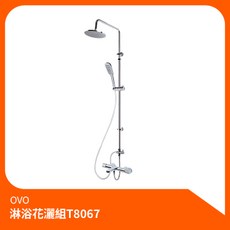 京典衛浴OVO淋浴花灑組T8067 沐浴龍頭升降桿組 蓮蓬頭, 1個