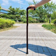 2NDOK 노인 지팡이 스틱 2단 할머니지팡이