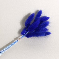 화연양화 프리저브드플라워 선별 라그라스 강아지풀 10개입, 12 블루